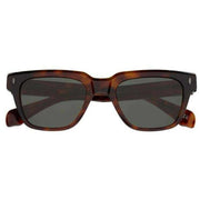 Botaniq Brown Adventurer Sunglasses