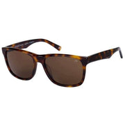 Botaniq Brown Bold Square Sunglasses