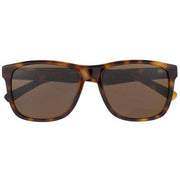 Botaniq Brown Bold Square Sunglasses