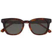 Botaniq Brown Classic Distinct Shape Sunglasses