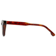 Botaniq Brown Classic Distinct Shape Sunglasses