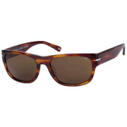 Botaniq Brown Dynamic Sporty Sunglasses