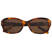 Botaniq Brown Oval Sunglasses