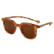 Parafina Brown Cauce Sunglasses