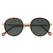 Parafina Burgundy Huracan Sunglasses