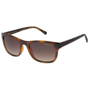 Radley London Brown Petite Classic Square Sunglasses