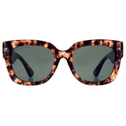 French Connection Brown Chunky D-Frame Sunglasses