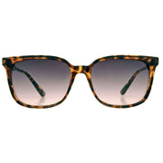 French Connection Brown Fashion Square Sunglasses