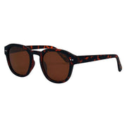 I-SEA Brown Barton Sunglasses